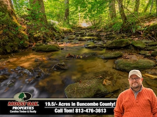 215 Martins Creek Rd, Barnardsville, NC 28709
