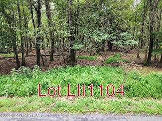 1104 Hunter Ln, Albrightsville, PA 18210