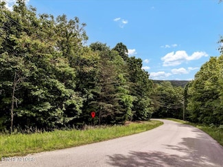 Lot 141 Whistle Valley Rd, New Tazewell, TN 37825