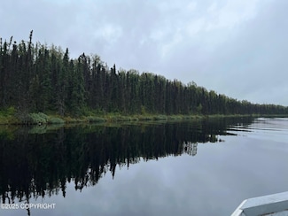 21283 E Quarah Lake Ave, Talkeetna, AK 99676