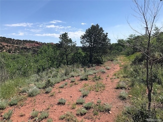 427 Bond St, Manitou Springs, CO 80829