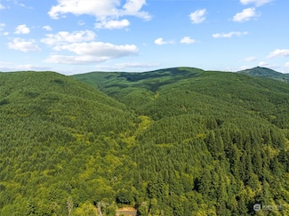 0 Rose Valley Rd Unit NWM2155733, Kelso, WA 98626
