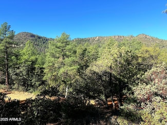18 Pine Hollow Trail, Pine, AZ 85544