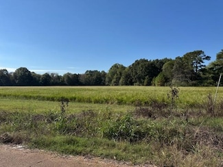 0 Breeden Ln, Bolivar, TN 38008