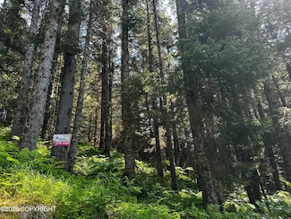 L15 B11 Malcolm St, Seldovia, AK 99663