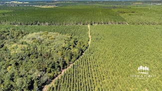 XX1 Highway 2, Campbellton, FL 32426