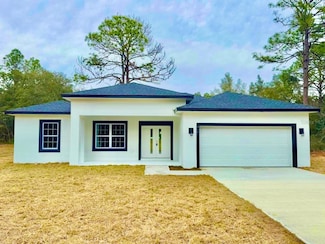 8641 N Paradisea Dr, Citrus Springs, FL 34433