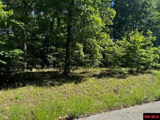 528-00030-000 Elly Ln, Flippin, AR 72634
