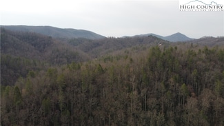 0 Elk Creek Darby Rd, Ferguson, NC 28624