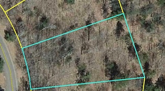 Lot 58 Hanscom Lake Trail Way, Scott, WI 54830
