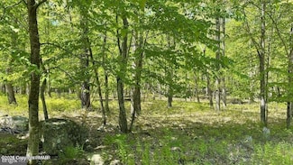 0 Spring Ct Unit PM-121270, Bushkill, PA 18324