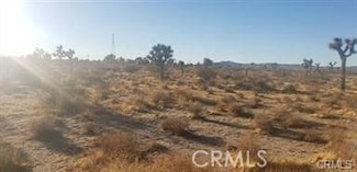 6 Racoon Ave, Adelanto, CA 92301