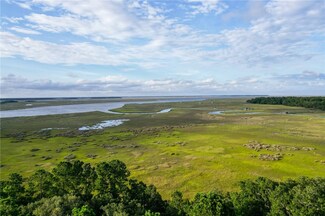 LOT 13 Tranquility River View Ct, Townsend, GA 31331