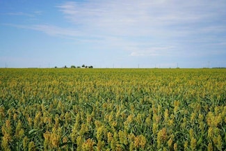 000 236 Rd, Offerle, KS 67563