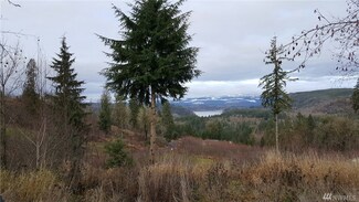 115 Sugar Pine Place, Mossyrock, WA 98564