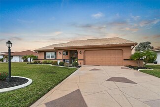 1809 Wolf Laurel Dr, Sun City Center, FL 33573