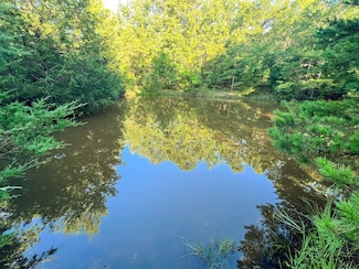 0 Unit 11317518, Willow Springs, MO 65793