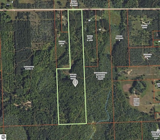 000 E 38 Rd, Cadillac, MI 49601