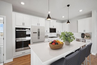 724 Winterberry Ln, Waconia, MN 55387