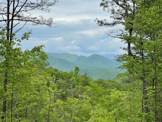 Lot 5 Butternut Ridge, Bryson City, NC 28713