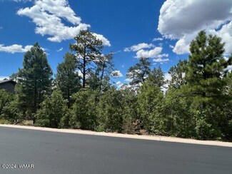 1490 W Snow Creek Trail, Show Low, AZ 85901
