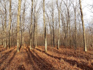 0 Camp Domino Trail Unit 323923, Comins, MI 48619