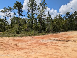 0 Castle Cr Cir Unit 776461, Alford, FL 32420
