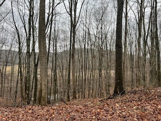 0 Wildcat Hill Rd Unit 83419, Gap Mills, WV 24941