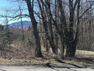 0 Goshen St Unit 20255305, Jewett, NY 12444