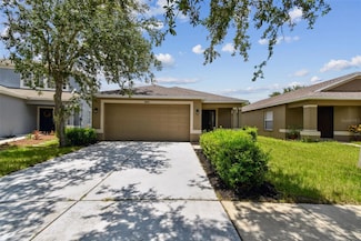 8020 Carriage Pointe Dr, Gibsonton, FL 33534