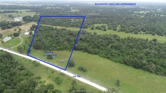 21.48 Acres County Road 180, Anderson, TX 77830
