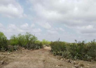 0 Tract 4 Unit 20250367, Laredo, TX 78043
