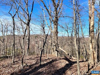 0 Rockledge Rd Unit 661313, Afton, VA 22920