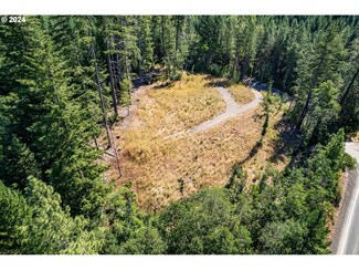 0 Trout Lake Hwy Unit 1 24538547, Troutlake, WA 98650