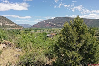 Tbd Galaxy Dr, Durango, CO 81301