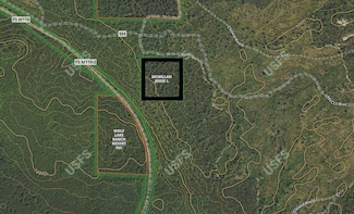 LP 340 Trail, Baldwin, MI 49304