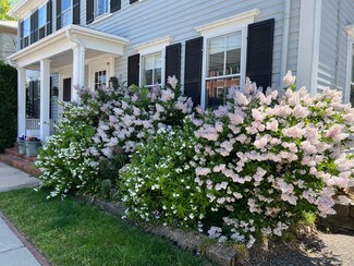 26 Court St, Dedham, MA 02026
