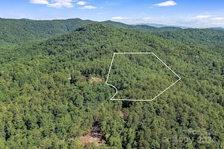 Lot I Frozen Creek Rd, Brevard, NC 28712