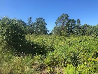 153 Disney Blvd, Avon Park, FL 33825