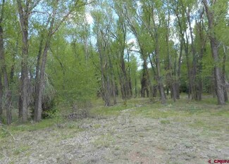 0 Tixier Ramirez Cir Unit 765298, Antonito, CO 81120
