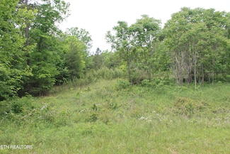 0 Dulog Trail Unit 1301731, Jamestown, TN 38556
