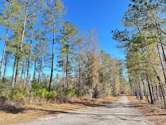 1800 Calamus Pond Rd, Summerville, SC 29486