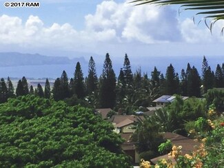198 Haulani St, Makawao, HI 96768