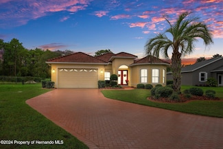 9312 Gentle Ben Ct, Weeki Wachee, FL 34613