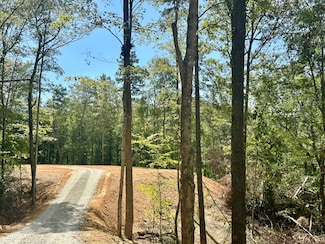 424    tract 2 Kentucky 577, Fogertown, KY 40962