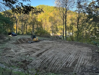 220 Glen Ward Ln, McDowell, KY 41647