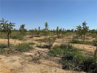 0 Mary Ave Unit SN25184944, Corning, CA 96021