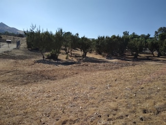 0 Agua Dulce Canyon Rd Unit SR25253899, Agua Dulce, CA 91350