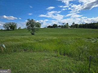 LOT 4 Smith Loop, Demorest, GA 30535