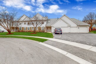 62 Beechmont Ct Unit B, Schaumburg, IL 60193